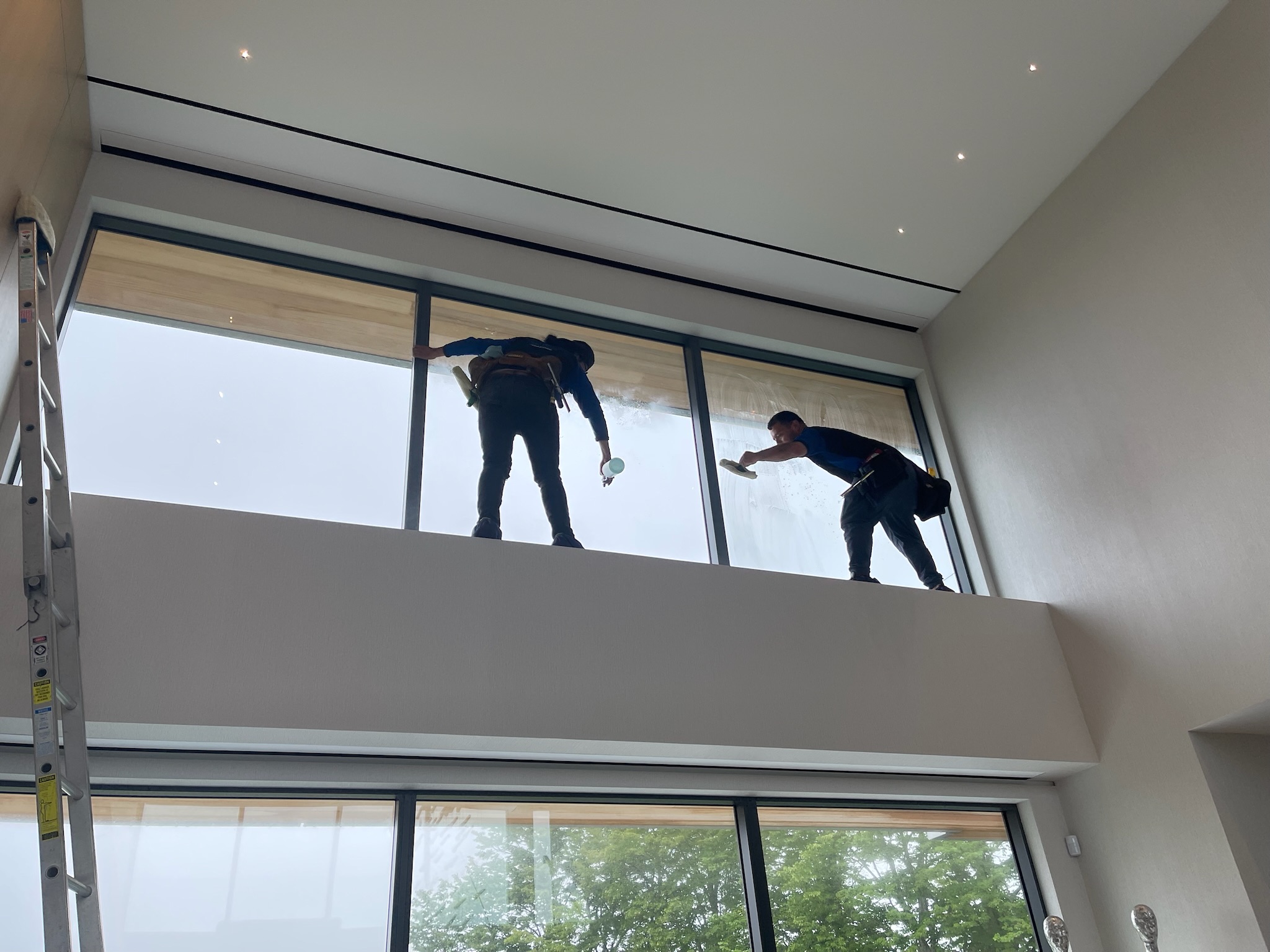 Window Cleaning Services